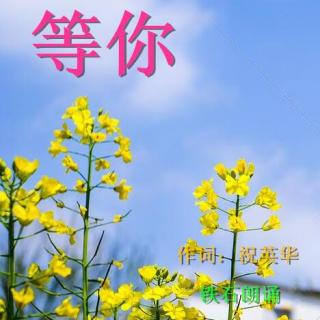 《等你》作词：祝英华