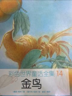 彩色世界童话全集14《金鸟》