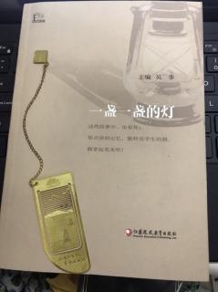 《一盏一盏的灯》开在角落的花