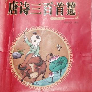 唐诗三百首-小松