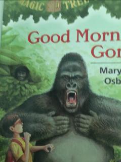 Good Morning，Gorillas