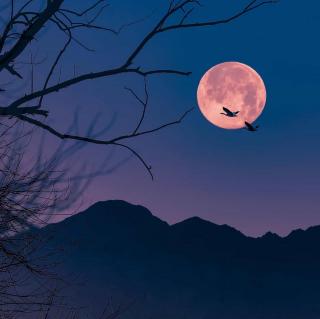 《夜雨寄北》李俊