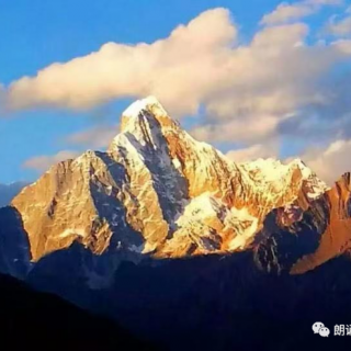 《洱海情恋》诵读山林树影