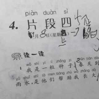 《阅读阶梯训练之片段四》