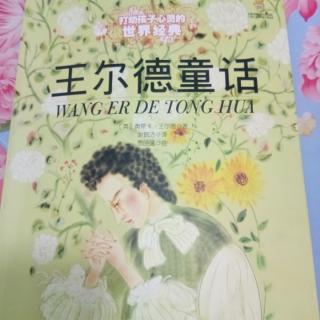 《王尔德童话》119――135