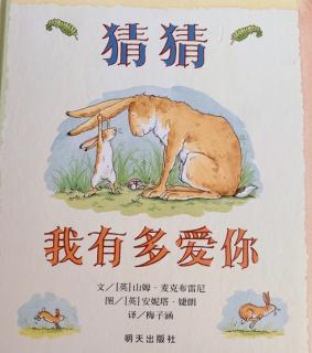 猜猜我有多爱你