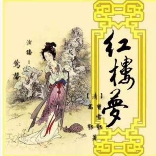 紅樓夢(mèng)第二十四回下  醉金剛輕財(cái)尚義俠 癡女兒遺帕惹相思