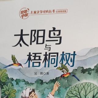 太阳鸟与梧桐树 《我的小马 》