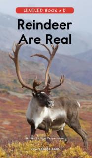 Reindeer  are  real （单词）