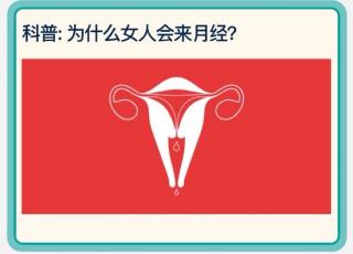 Why Women Menstruate ⭕️