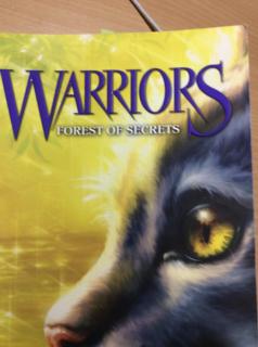 Warriors forest of secrets chapter 26