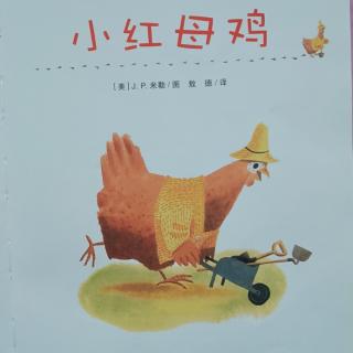 小红母鸡