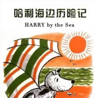 第三实验幼儿园故事推荐(第243期):《哈利海边历险记》