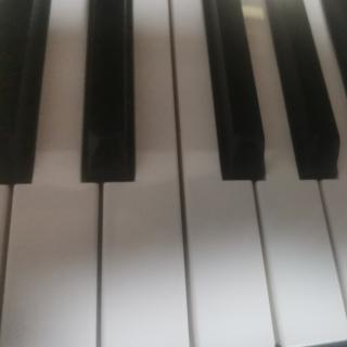 钢琴  《F大调小奏鸣曲》