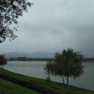 虞美人.听雨（宋）蒋捷