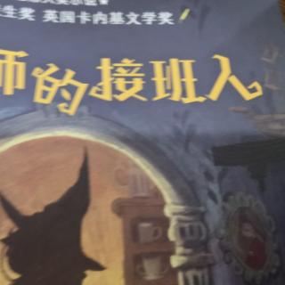 魔法师的接班人