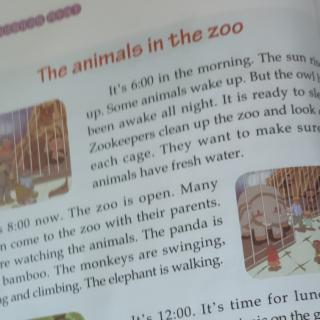 The animals in the zoo