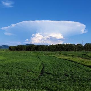 人生，从一点点感悟开始