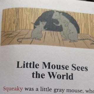 美国小学英语2A little mouse sees the world