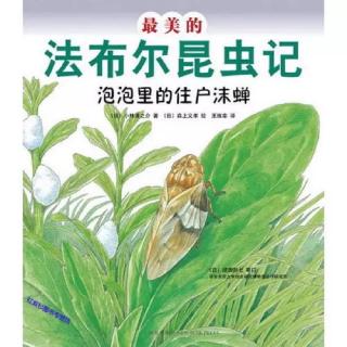 最美的法布尔昆虫记-泡泡里的住户沫蝉