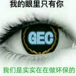 恒昊老师:帮你看懂GEC