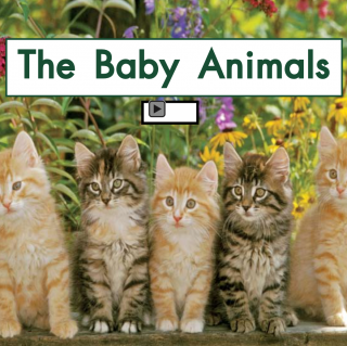 海尼曼GK音频4 The Baby Animals