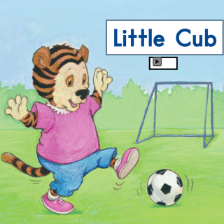 海尼曼GK音频20 Little Cub