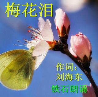 《梅花泪》作词：刘海东