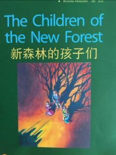 The children of the new forest（1）