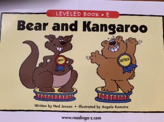 bear  and  kangaroo （单词）