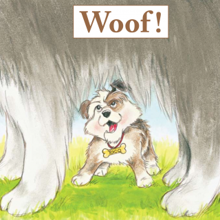 Book 12 Level A woof!