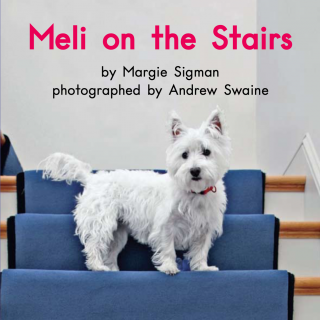 Book 35 Level C Meli on the Stairs