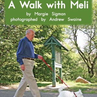 Book 59 Level E A walk with Meli