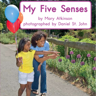 Book 70 Level D My Five Senses