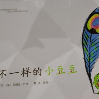 不一样的小豆豆