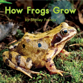 Book 79 Level G How Frogs Grow