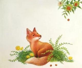 绘本故事《小狐狸的红树叶》