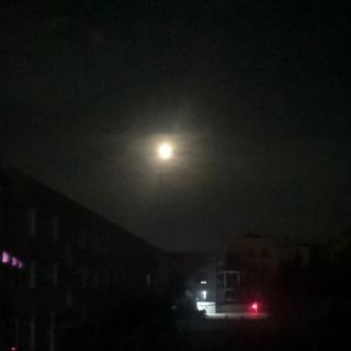 记承天寺夜游