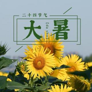 24节气之   大暑