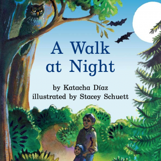 Book 100 Level G A Walk at night