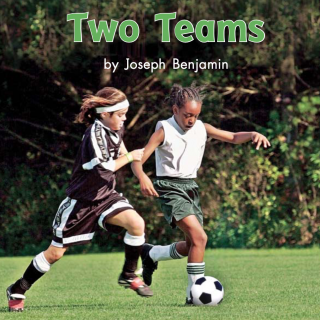 Book 102 Level H Two Teams