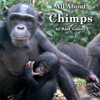 Book 108 Level H All about Chimps