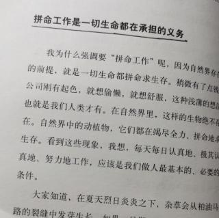 拼命工作是一切生命都在承担的义务