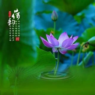 《我是你水中的莲花》竺子