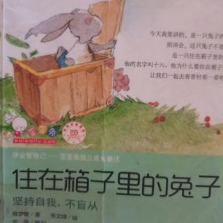 《住在箱子里的兔子》第一章兔子十六和它的箱子