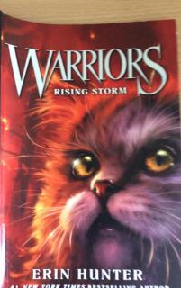 Warriors rising storm chapter 7