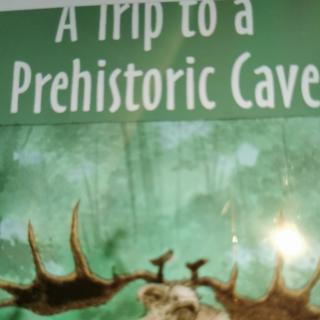 A Trip to a Prehistoric Cave