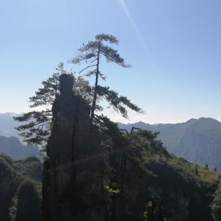 《水浒传•第十回》（节选） 施耐庵 罗贯中