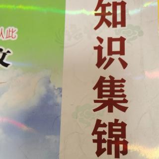 含数字成语