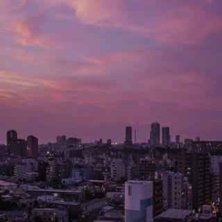 思念，牵住了整个夏天的飞鸟。